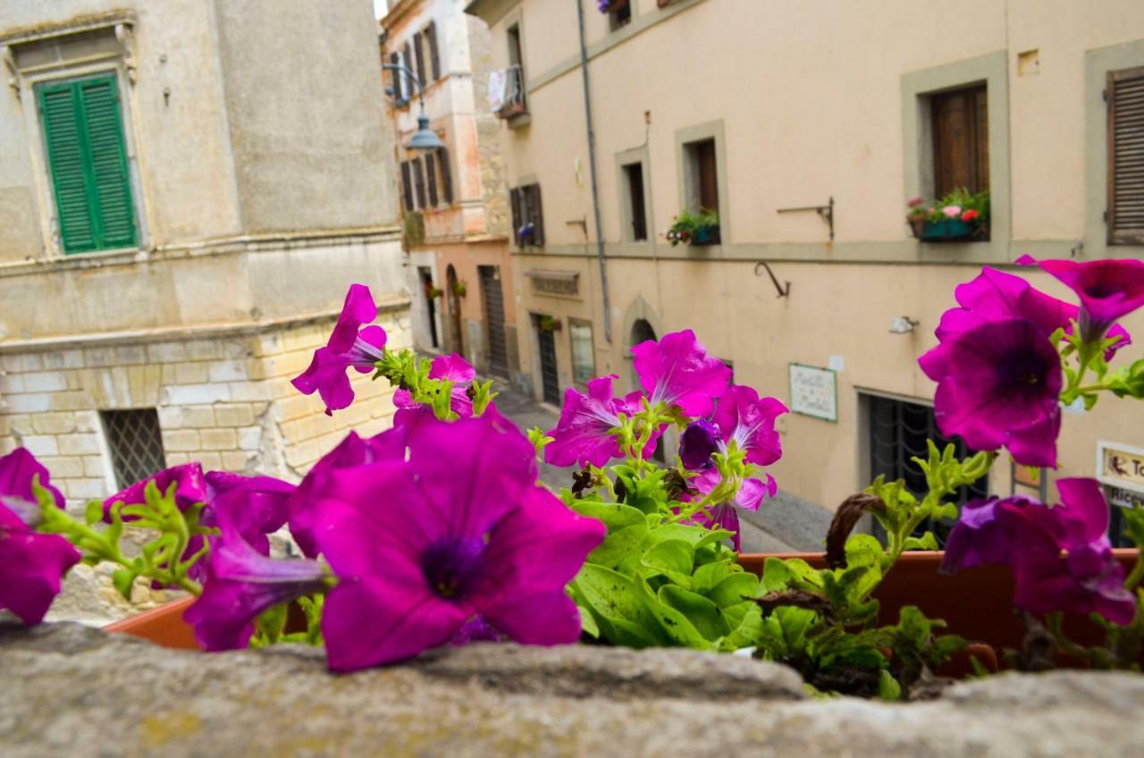 B&B Chiostro San Marco Tarquinia Εξωτερικό φωτογραφία